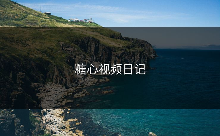 糖心视频日记