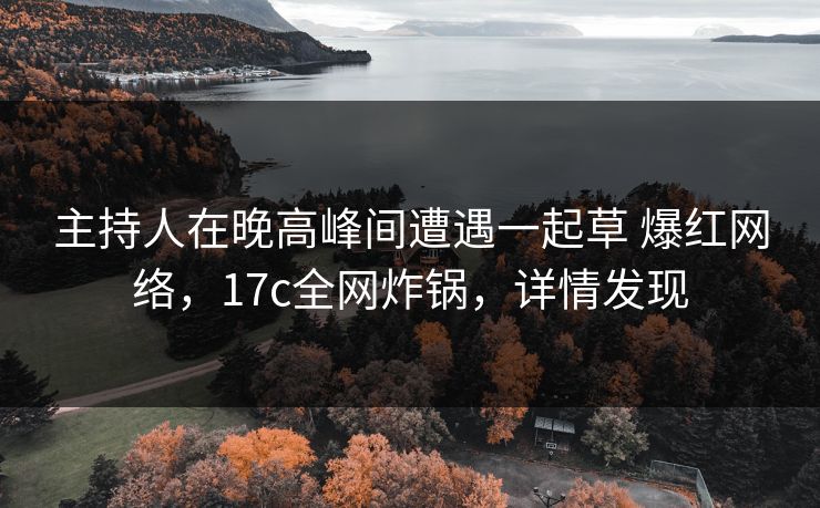 主持人在晚高峰间遭遇一起草 爆红网络，17c全网炸锅，详情发现