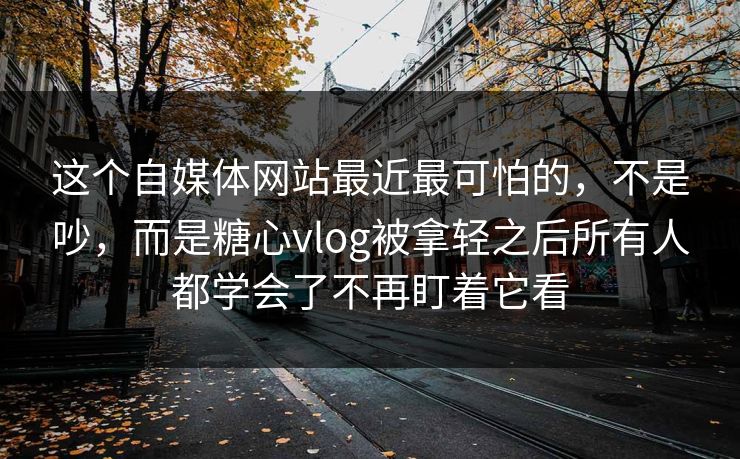 这个自媒体网站最近最可怕的，不是吵，而是糖心vlog被拿轻之后所有人都学会了不再盯着它看